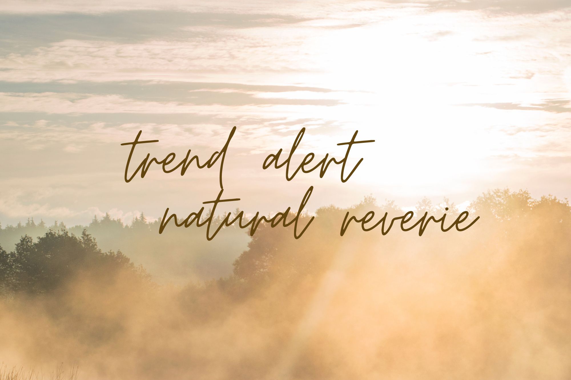 Trend Alert – Natural Reverie
